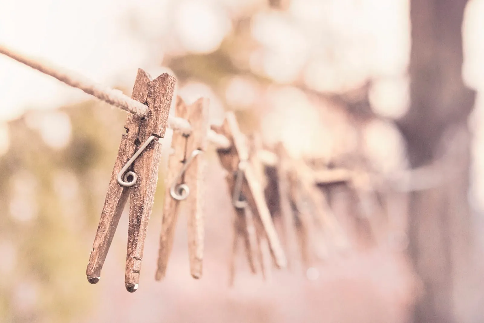 Wooden clothes pegs clipped along a washing line, photographed close up